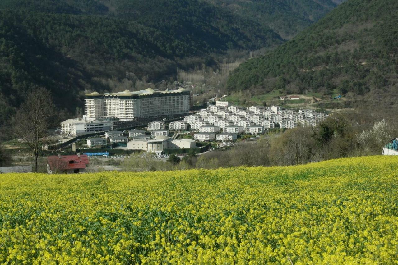 Sarot Thermal Vadi Tatil Koyu - Halal Hotel Bolu Exterior photo